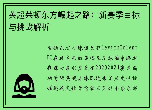 英超莱顿东方崛起之路:新赛季目标与挑战解析 英超莱顿东方崛起之路:新赛季目标与挑战解析